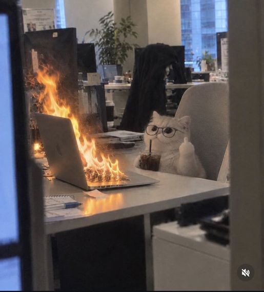 chat chat, find line friends 
