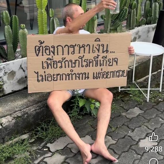 แชท โสด 