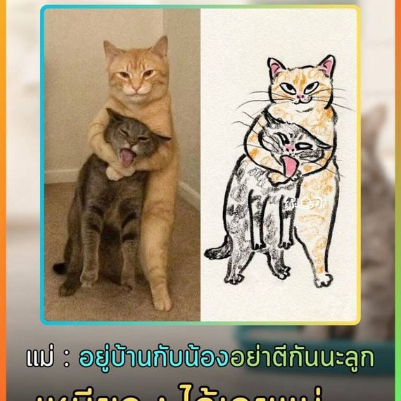 แชท หาเพื่อนคุย