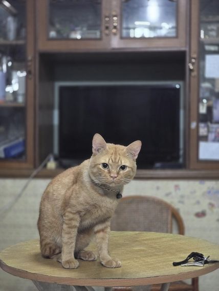 chat chat  from Bangkok