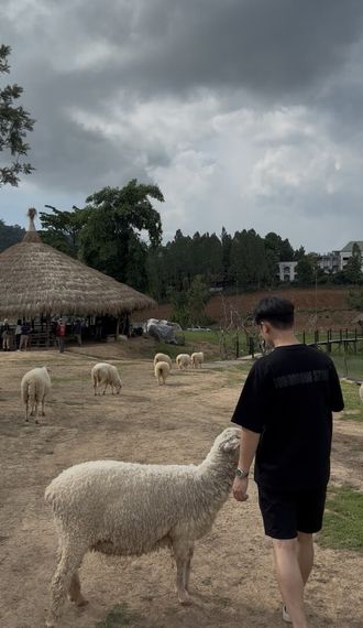 แชท โสด 