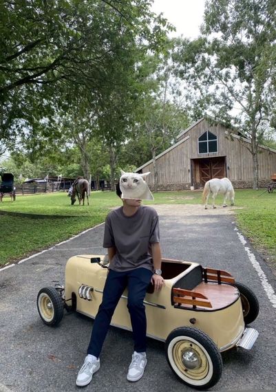 แชท โสด