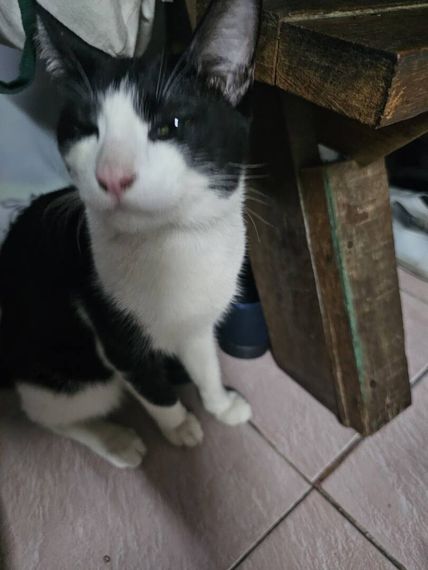 chat looking for friends 