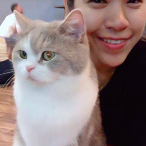 แชท หาเพื่อนคุย 