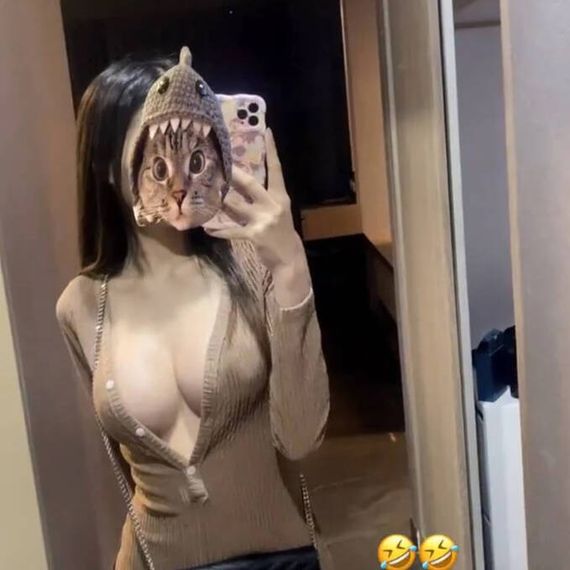 แชท หาเพื่อนคุย, โสด 