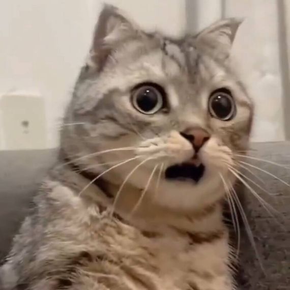 แชท หาเพื่อนคุย, หาเพื่อนเที่ยว 