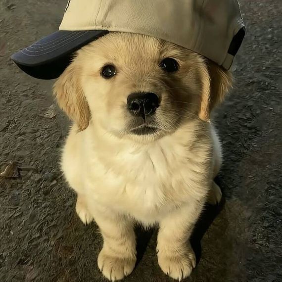 แชท หาเพื่อนคุย, หากิ๊ก 