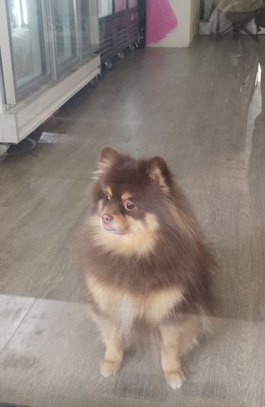 chat chat, find 2nd love 