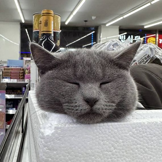 แชท หาแฟน, หาเพื่อนคุย  ที่อยู่ กรุงเทพมหานคร