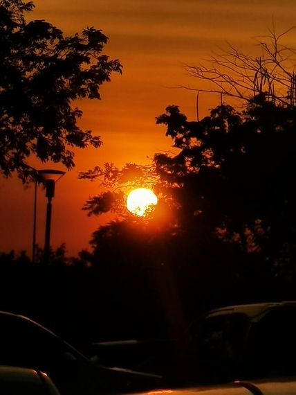 chat looking for friends 