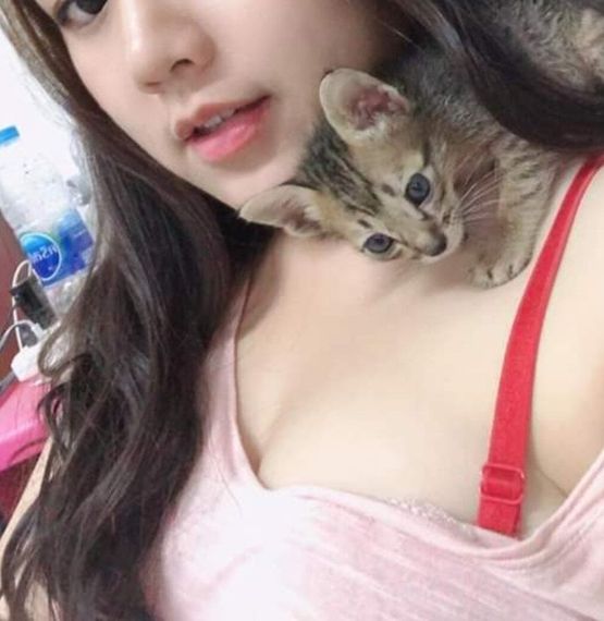 chat chat, hangout 