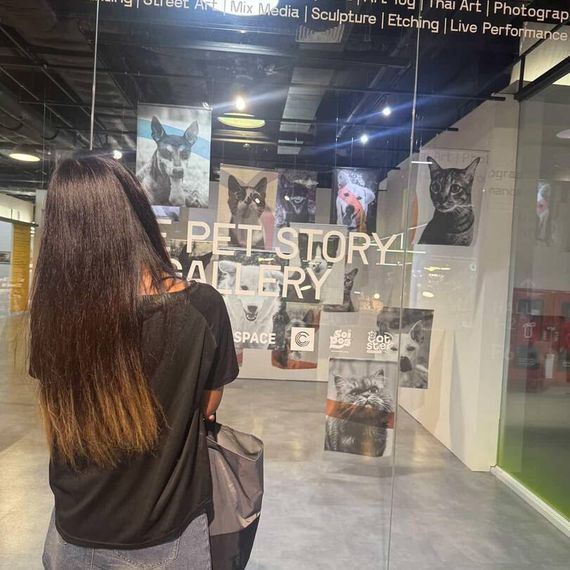 แชท หาเพื่อนคุย 