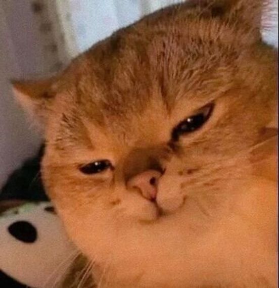 chat looking for friends