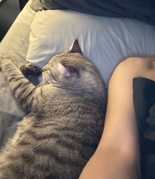 chat find love, chat  from Chiang Mai