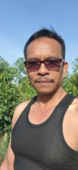 chat looking for friends 