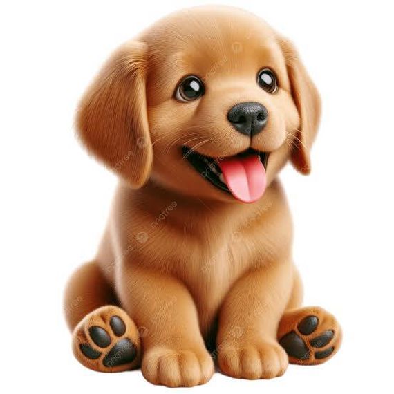 แชท หาแฟน, โสด  ที่อยู่ กรุงเทพมหานคร