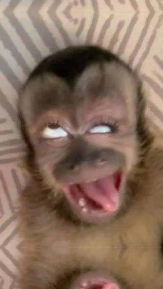 แชท หาแฟน, หาเพื่อนคุย  ที่อยู่  พระนครศรีอยุธยา