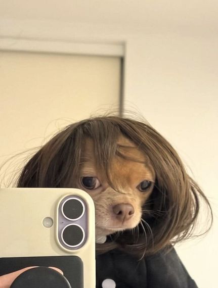chat looking for friends