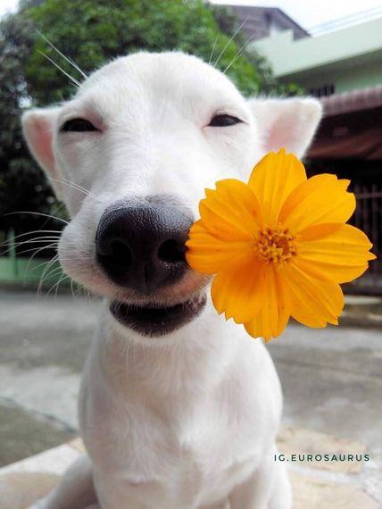 แชท หาเพื่อนคุย, โสด 