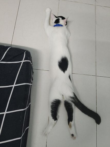 chat looking for friends 