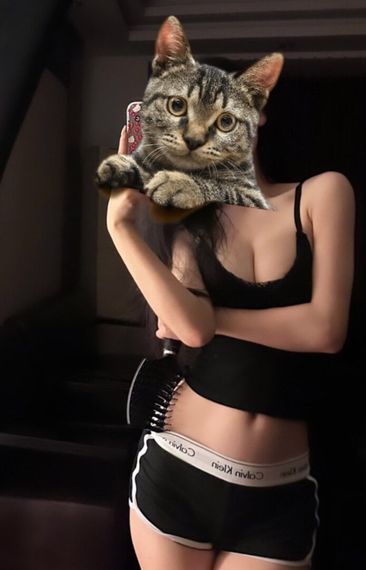 chat looking for friends 