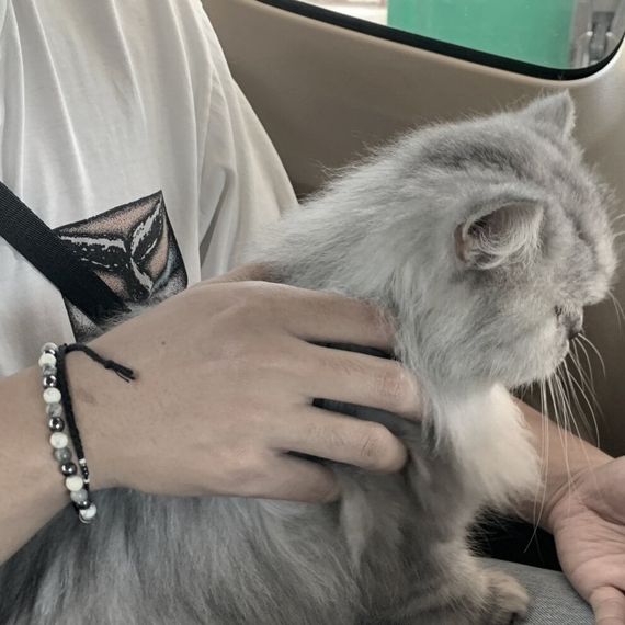 chat looking for friends