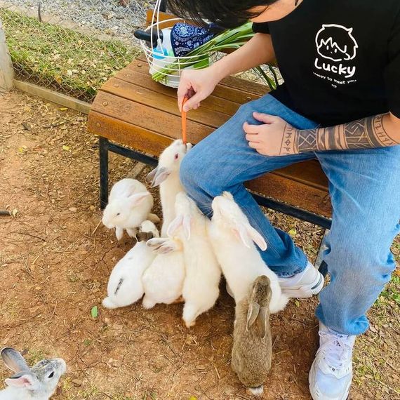 แชท หาเพื่อนคุย 