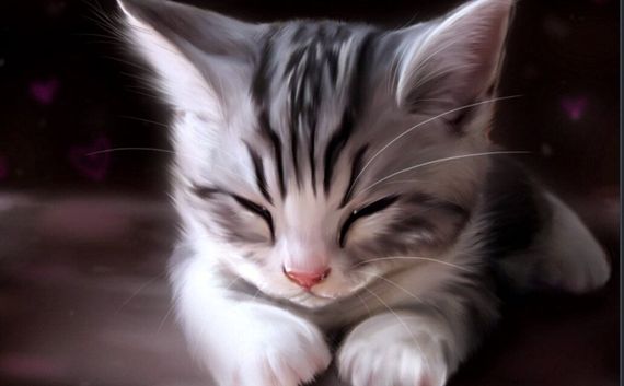 chat chat