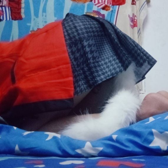 แชท หาแฟน, หาเพื่อนคุย