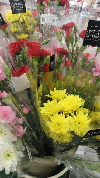 chat looking for friends 