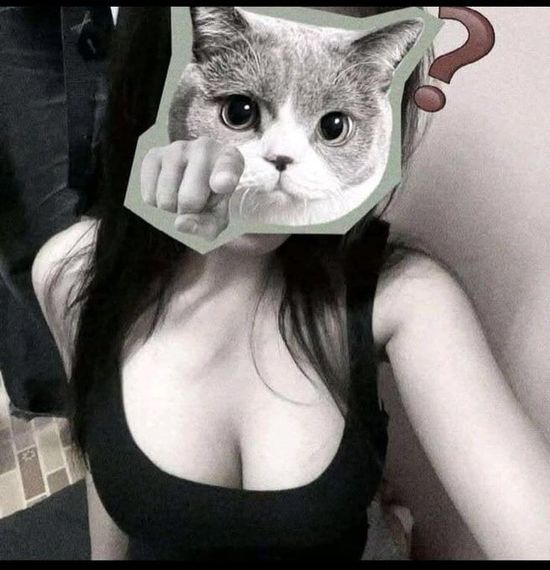 chat looking for friends 