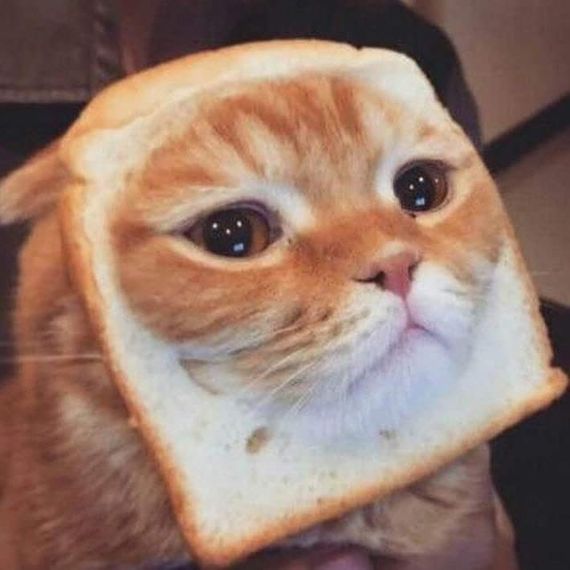 chat chat  from Bangkok