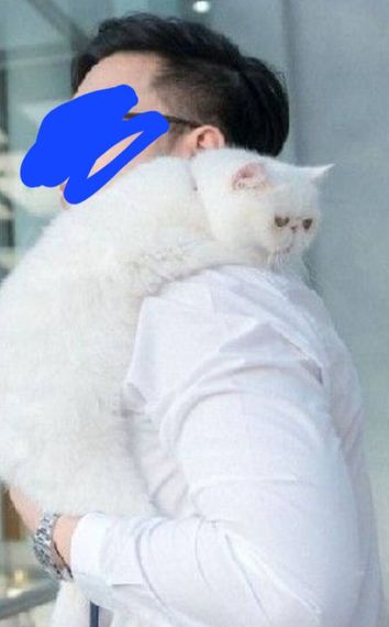 chat looking for friends