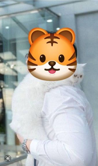 chat looking for friends 