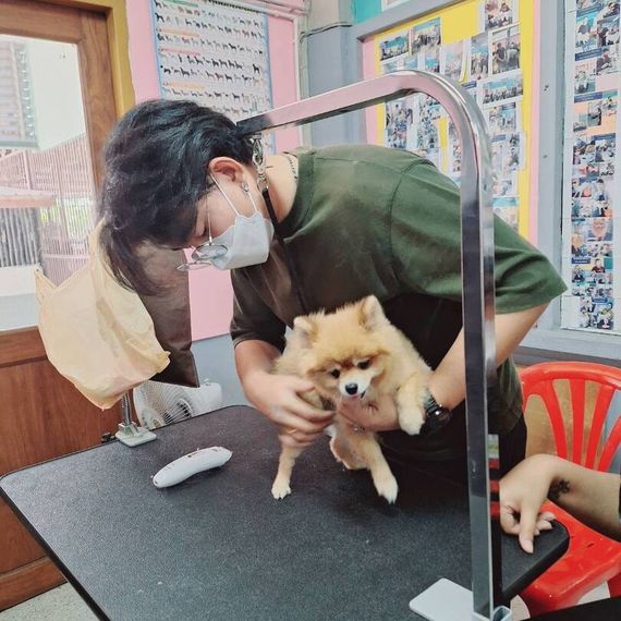แชท หาแฟน, โสด  ที่อยู่  ปทุมธานี