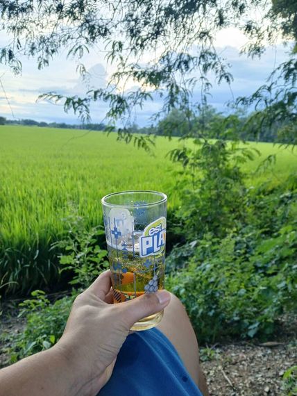 chat looking for friends 