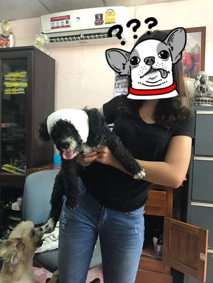 chat find love, chat  from Rayong
