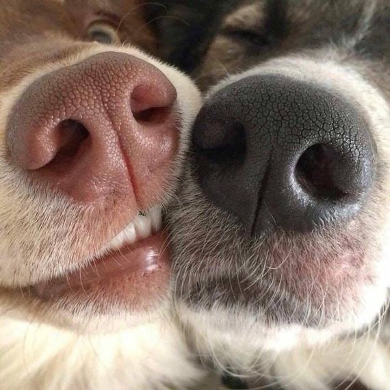 แชท หาเพื่อนไลน์, แชทเปิดกล้อง 