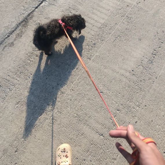 chat looking for friends