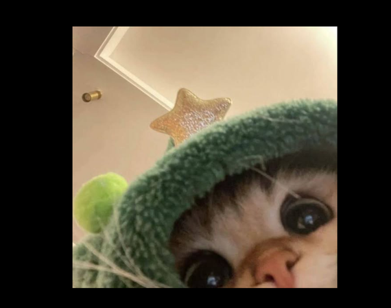 chat looking for friends 