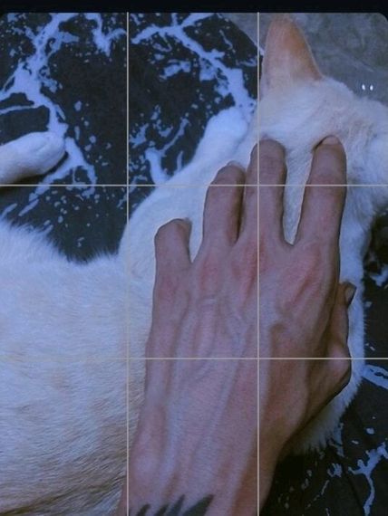 chat looking for friends