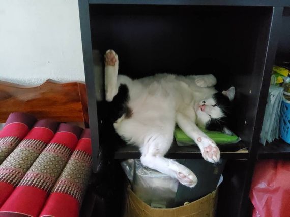 แชท หาเพื่อนคุย 