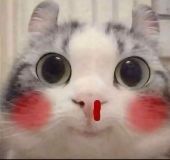 chat find love, chat 