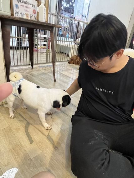 แชท หาเพื่อนคุย 