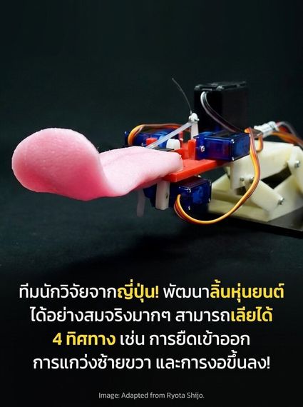 แชท หาแฟน, หาเพื่อนคุย  ที่อยู่  เชียงใหม่