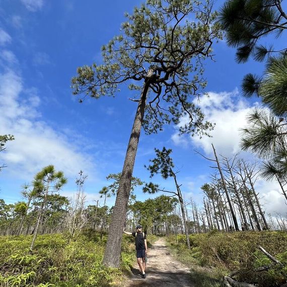 แชท หากิ๊ก, โสด 