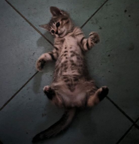 แชท หาเพื่อนคุย, หาเพื่อนเที่ยว