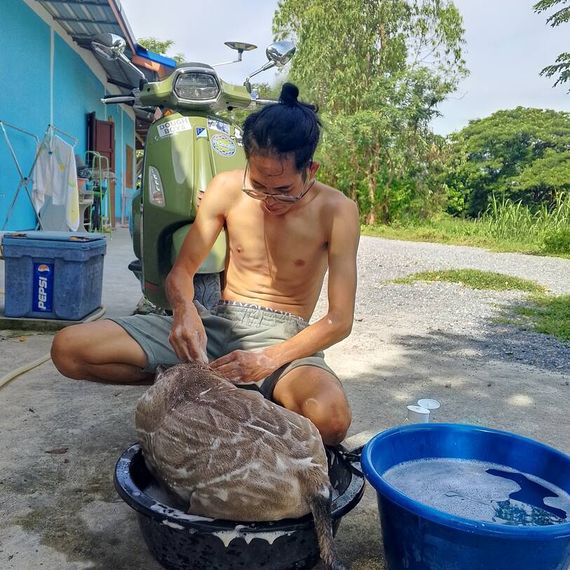 แชท หาเพื่อนคุย 