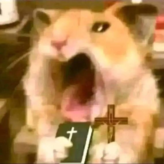 แชท หาแฟน, หาเพื่อนคุย  ที่อยู่ กรุงเทพมหานคร