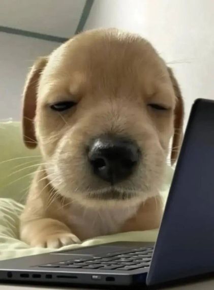 แชท หาเพื่อนคุย, หาเพื่อนเที่ยว 